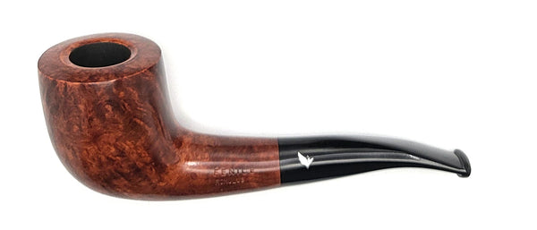 Fenice Marrone Highlander