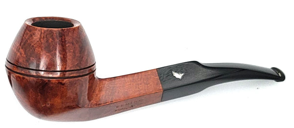Fenice Mogano SB Rhodesian